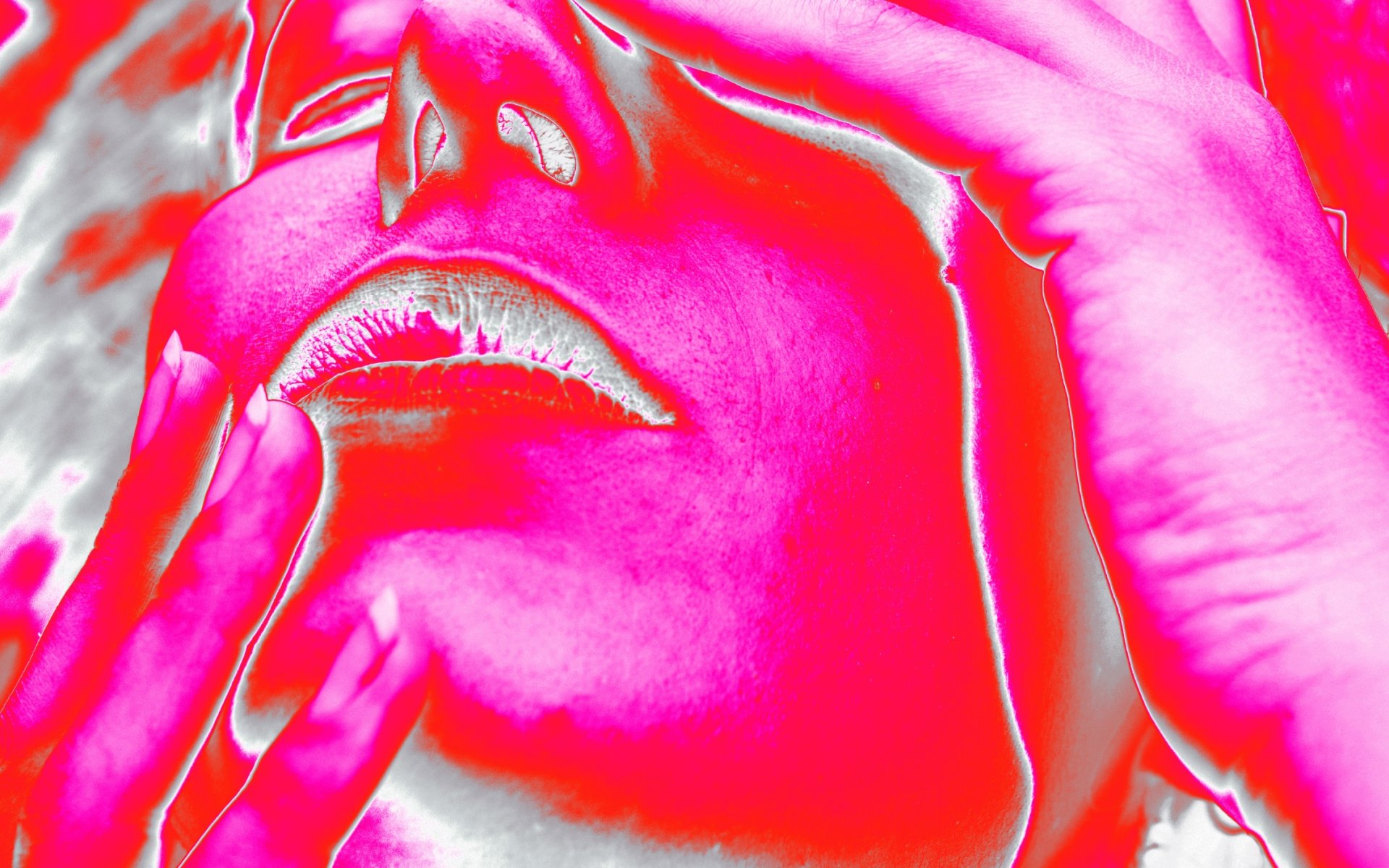bime_carrousel2.jpg