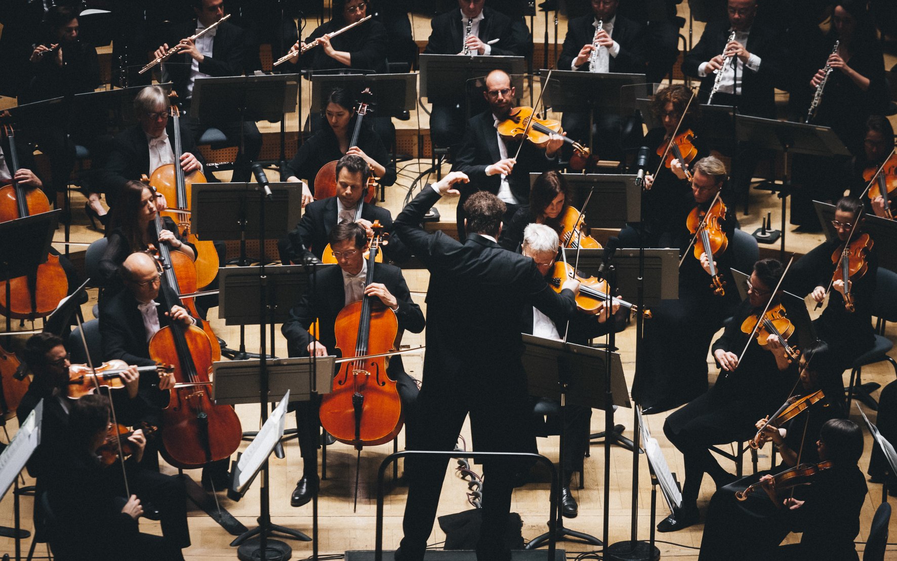 symphonie_he_roi_que_julien_mignot.jpg