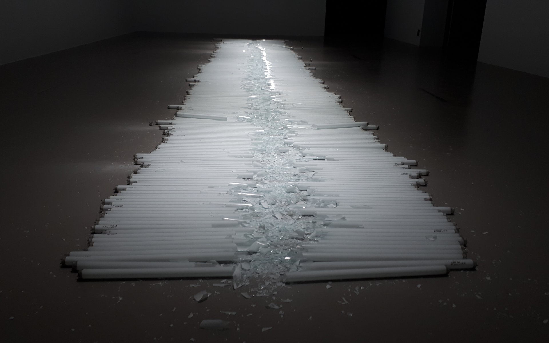 walking_trhough_a_line_of_neon_lights_michel_franc_ois.jpg
