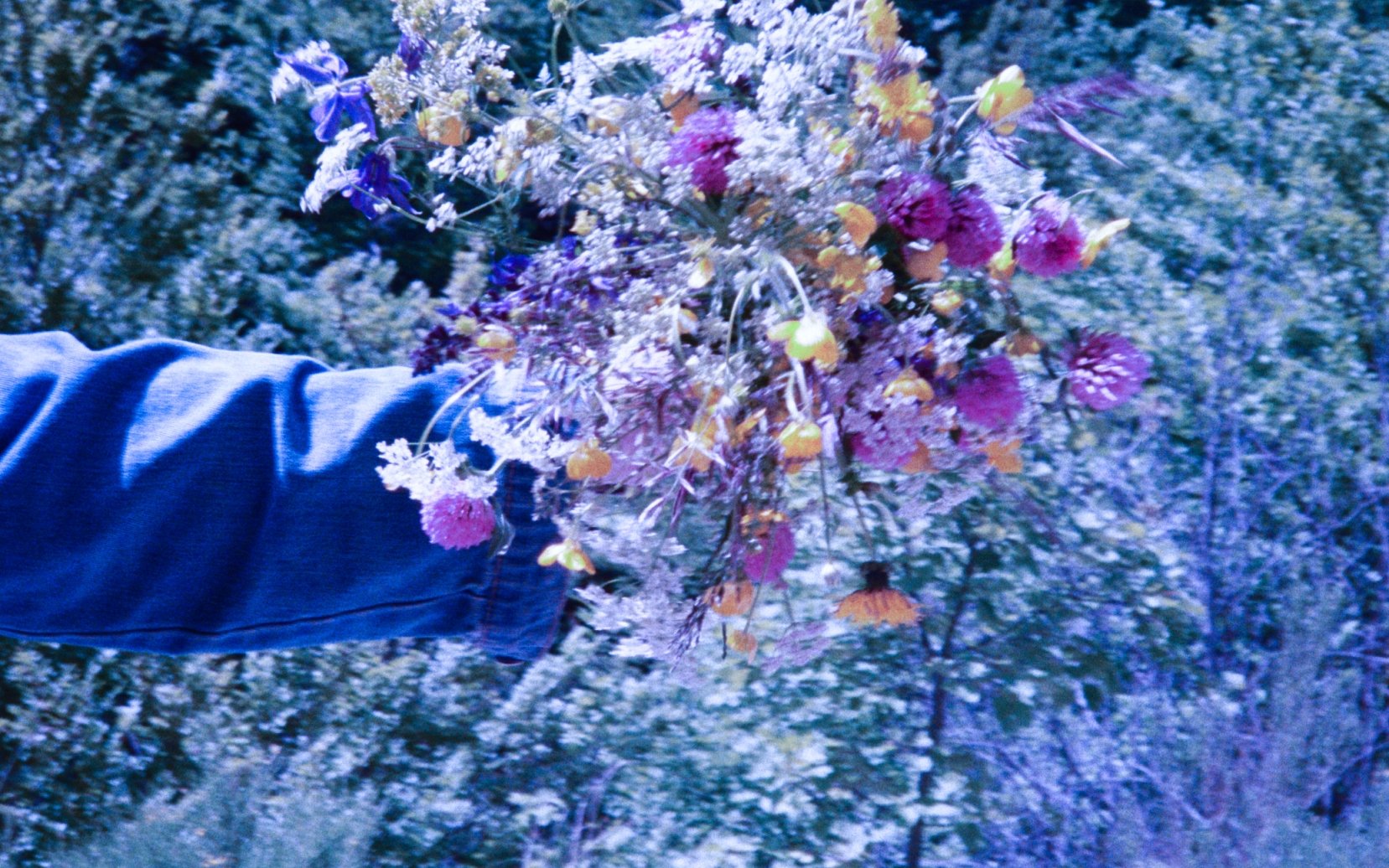 bouquet_bleu_1_.jpg