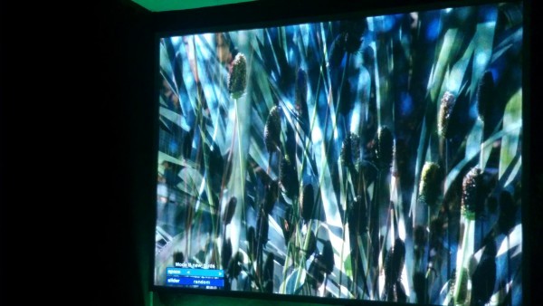 greensounds4.jpg