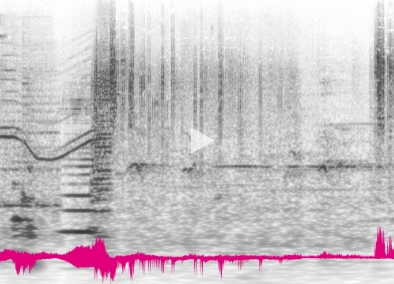 capture_d_e_cran_2016_06_29_a_15.11.15.png